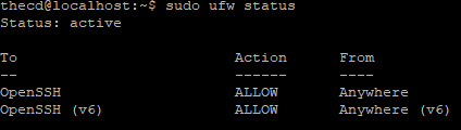 check ufw status on ubuntu