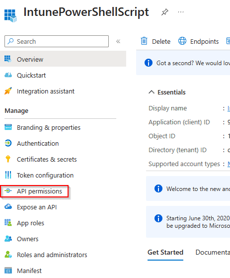 Azure App API Permissions