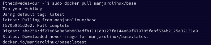 install manjaro docker container